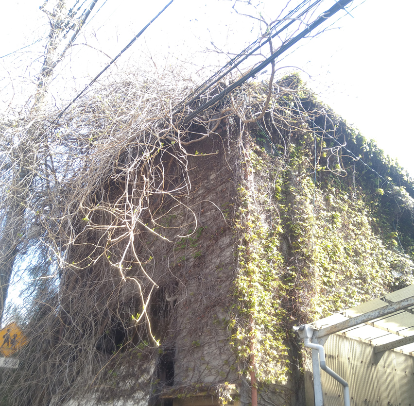 これは流石にヤバくね?