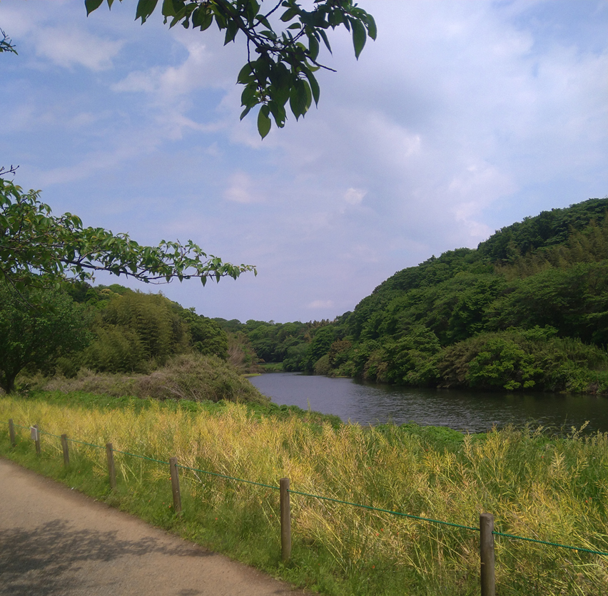 花見川、猛烈に釣りがしたくなる雰囲気だよね・・・道具持ってないけどw